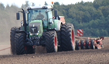 For successful spring sowing, set the right conditions